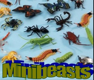 minibeasts-with-words.jpg