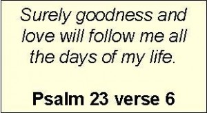 psalm-23v6.jpg