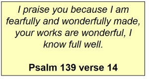 psalm 139 verse 14